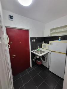 a small kitchen with a red door and a sink at Timisoara Studio in Timişoara