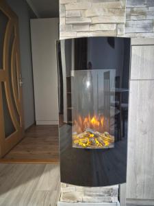 奥多尔黑塞库耶斯克Tranzit apartman 3的带壁炉的客厅