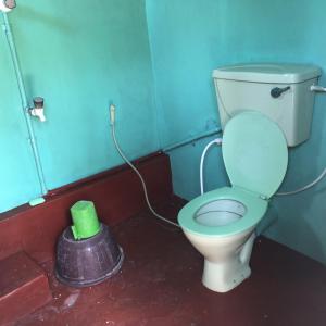 a bathroom with a toilet and a green bowl at Thapovanam Veedu in Allaippiddi