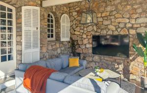 Μια τηλεόραση ή/και κέντρο ψυχαγωγίας στο La Bastide De Pierre