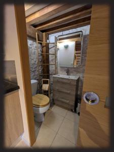 a bathroom with a toilet and a sink and a mirror at Le Mas des Condamines in Canet