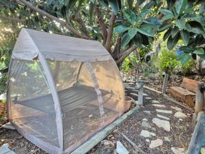 a tent in the ground in a garden at Elinor's Secret Suite in Sulam Tsor +14 photos