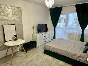a bedroom with a bed and a tv and a table at Romantic studio AxS in Floreşti +18 photos