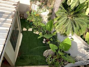 an overhead view of a small garden with plants at Elinor's Secret Suite in Sulam Tsor