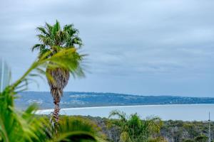 Φωτογραφία από το άλμπουμ του Curragudde Cove - Pambula Beach σε Pambula Beach