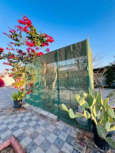 Ảnh trong thư viện ảnh của ABUCHO Holiday Homes - Ras Al Khaimah UAE ở Ras al Khaimah