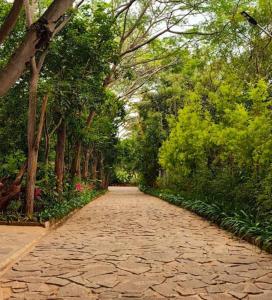 Peisaj natural din apropierea acestei pensiuni agroturistice