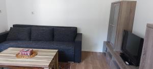 TV/trung tâm giải trí tại Ferienwohnung Schmidtke