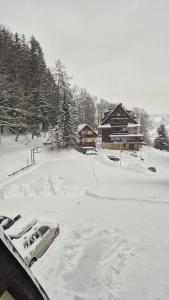 a snow covered yard in front of a house at Juniorhotel Roxana in Horní Rokytnice