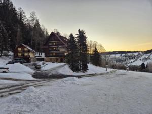 a house in the snow with a lot of snow at Juniorhotel Roxana in Horní Rokytnice