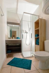 a bathroom with a shower and a toilet at Refuge des Cols Verts Parking Cozy Relaxing in Saint-Gervais-les-Bains