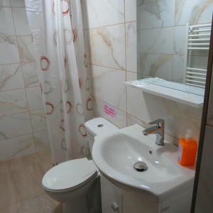 a bathroom with a white toilet and a sink at Casa Alex in Topliţa +50 photos