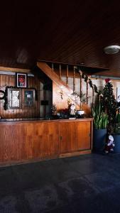 cocina con encimera con plantas en una habitación en Pilgrim's Guest House, en Madaba
