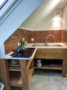 eine Küche mit Spüle und Arbeitsplatte in der Unterkunft Apartmány Arin in Jáchymov + 51 Fotos