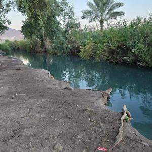 ein Stofftier sitzt am Ufer eines Flusses in der Unterkunft רגעים קסומים בגלבוע in Avital
