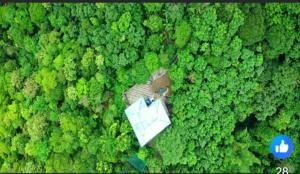 une vue aérienne d'une personne avec un parapluie dans une forêt dans l'établissement Jerusalem Home Saty, à Idukki