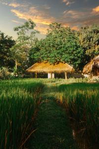 Κήπος έξω από το vrihee resort