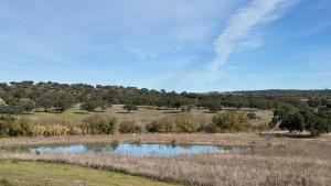 Φυσικό τοπίο κοντά σε αυτό το παραθεριστικό πάρκο