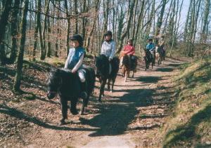 Άλλα ζώα σε αυτή η παραθεριστική κατοικία ή στη γύρω περιοχή