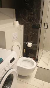 een badkamer met toilet en wasmachine bij Golden Ząbkowska A in Dobrovelychkivka
