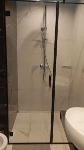een douche met een glazen deur in een badkamer bij Golden Ząbkowska A in Dobrovelychkivka