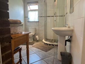 a bathroom with a shower and a sink and a toilet at Welcoming One Bedroom Flatlet with Pool in Pietermaritzburg