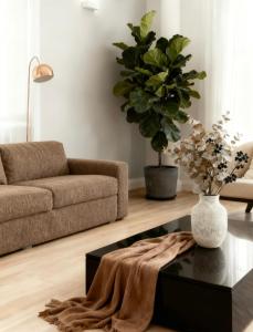 Burwood Family Guest Home في سيدني: غرفة معيشة مع أريكة وطاولة قهوة