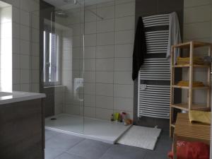 un bagno con doccia con porta in vetro di Entre Dômes et Sancy - Le moderne a Perpezat Altre 39 foto