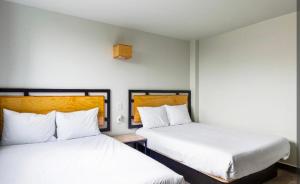 two beds in a room with white walls at Kamya cottage in New Delhi