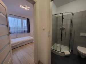 ein Badezimmer mit Dusche, Toilette und Waschbecken in der Unterkunft VESTA Apartamenty P23 in Stettin + 130 Fotos