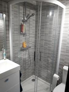 a shower with a glass door in a bathroom at Appartement cosy à Damgan avec vue mer 32 m² in Damgan