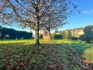 uma árvore num campo com uma casa ao fundo em Quinta da Runa by Tiny Away em Bagunte mais 1 fotografia
