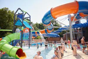 RheezeKampeerdorp de Zandstuve - Kindvriendelijke Vakantiepark的一群人在水上乐园玩耍