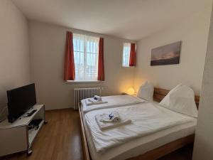 una camera da letto con un letto e una TV a schermo piatto di Studio at famous Storchengasse - Stork 45 a Zurigo