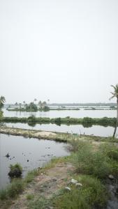 Φυσικό τοπίο κοντά σε αυτό το δωμάτιο σε οικογενειακή κατοικία