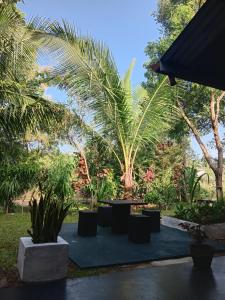 Сад в MRO Sigiriya Village Homestay & Hostel