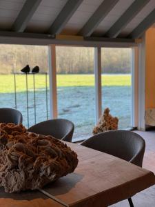 Θέα στο ποτάμι κοντά σε αυτό το hostel