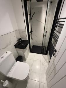 ein weißes Badezimmer mit Dusche und Toilette in der Unterkunft The Chepstow Hive in Chepstow + 39 Fotos