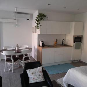 Kuchyň nebo kuchyňský kout v ubytování Aloha Apartman Sopron