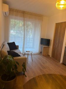 a living room with a couch and a tv at Magnifique appartement à 300m des plages à Port Frejus in Fréjus +12 photos