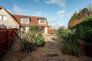 En have udenfor Sparrows - Crail