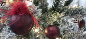 Fotografie z fotogalerie ubytování Victoria Family Hotel v destinaci Balchik