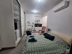 a bedroom with a large bed and a living room at Cozy studio! in Paphos City