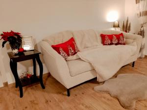 a living room with a white couch with red pillows at Harmony Private Single Room Freiburg in Freiburg im Breisgau