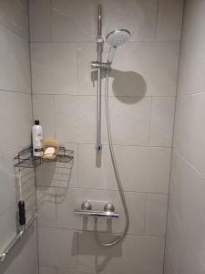 a shower with a shower head in a bathroom at KLAUSIEVEJ B&B in Ulfborg +34 photos