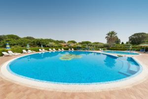 una grande piscina con sedie e ombrelloni di Il Girasole - Corbezzolo a Venturina Terme