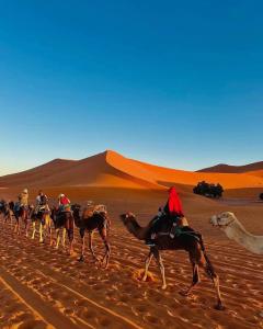 Άλλα ζώα σε αυτό το bed & breakfast ή στη γύρω περιοχή