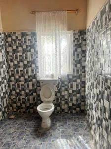KartungGeorgianas Residence的带马桶和窗户的浴室