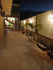 een gang met potplanten aan de zijkant van een gebouw bij Tesita's House habitación doble in Puerto Baquerizo Moreno +7 foto's