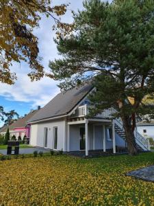 a white house with a tree in the yard at Apartment unter den Kiefern 93 in Röbel